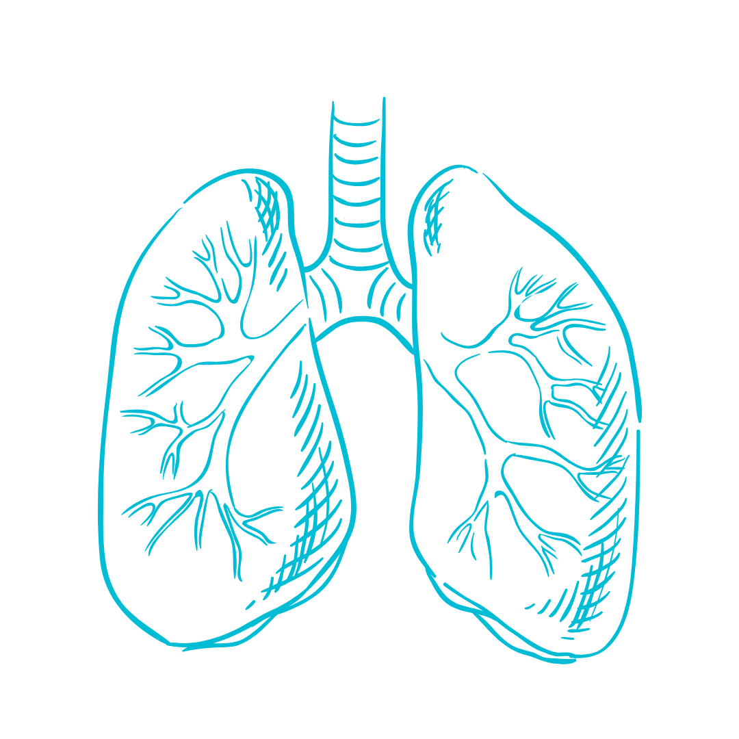 Aplicación respiratoria