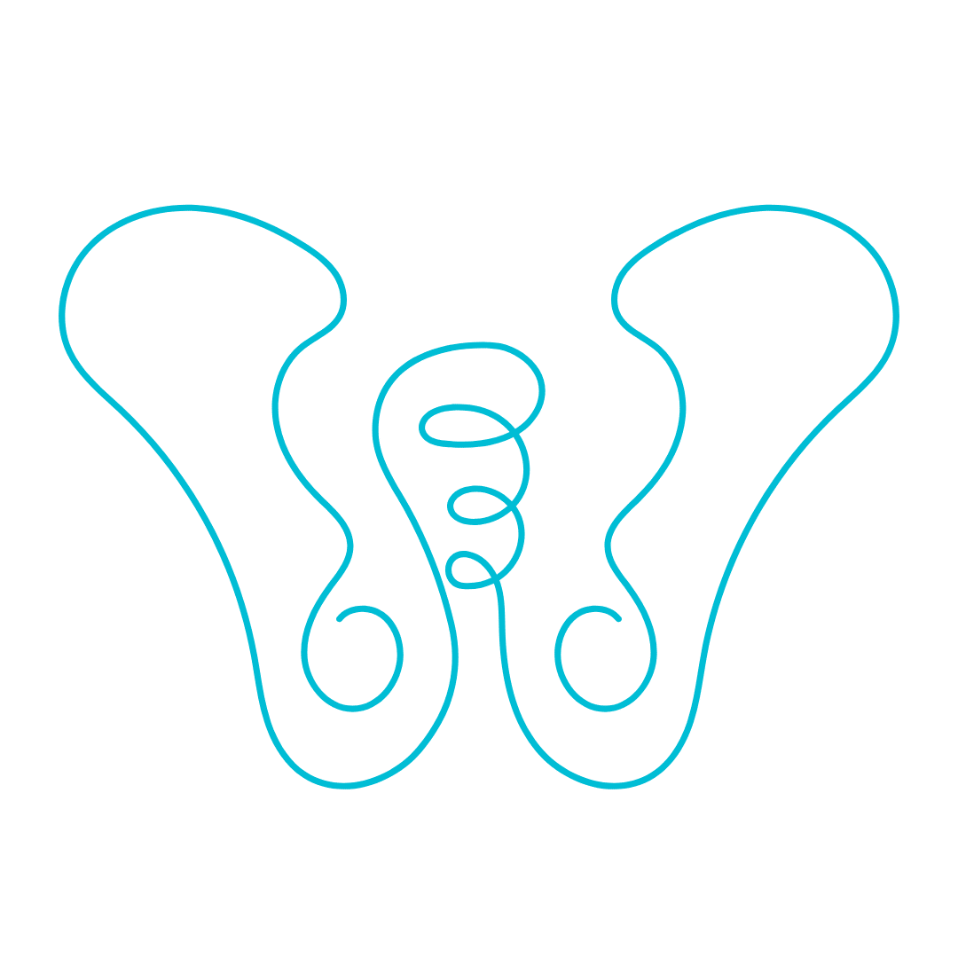 Aplicación para suelo pélvico